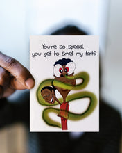 Load image into Gallery viewer, The Superfan
